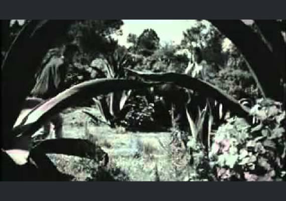 VICTOR GARCIA - Mi Funeral